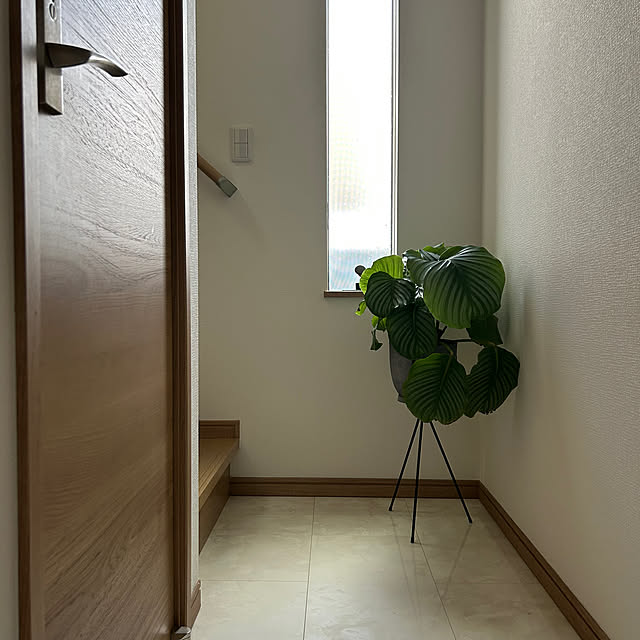 mocoさんの実例写真