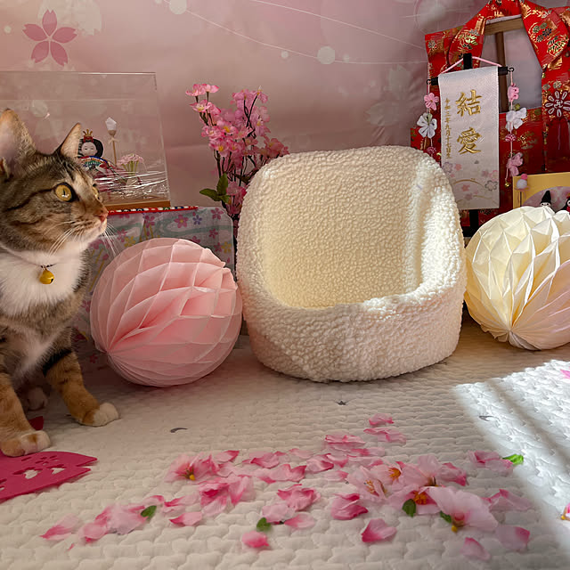 mikaさんの実例写真