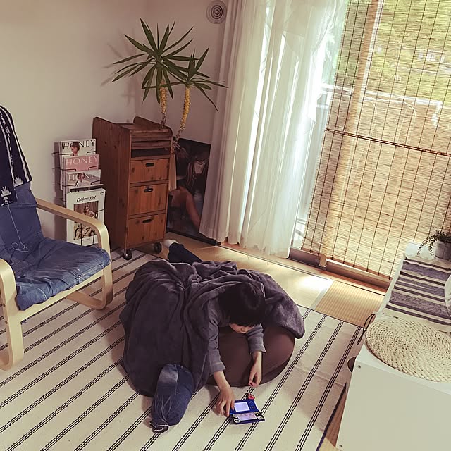実例写真