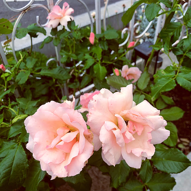 tomoさんの部屋