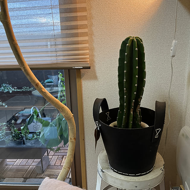 cagosukiさんの実例写真