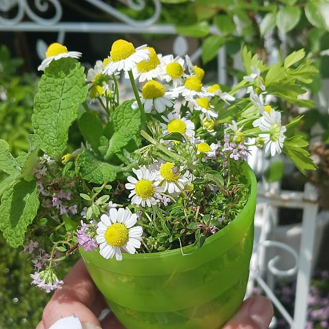 aiさんの実例写真