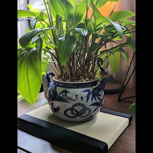 aromameさんの実例写真