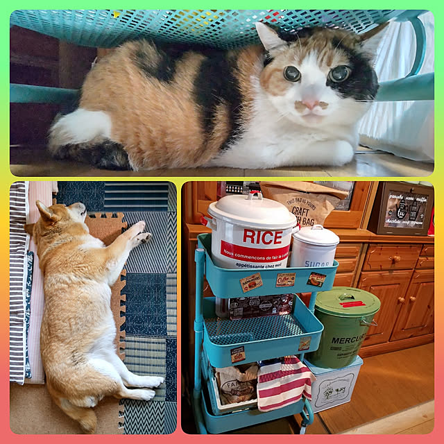 nanaさんの実例写真