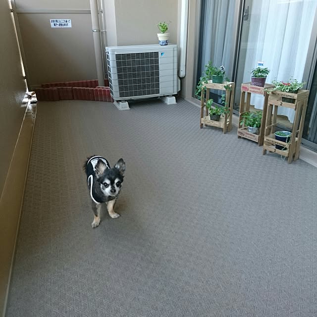 lovepeaceさんの実例写真