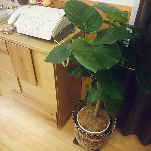 wakaba223さんの実例写真
