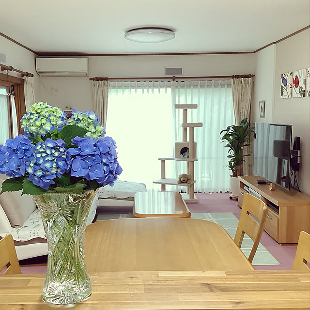 haruminさんの実例写真