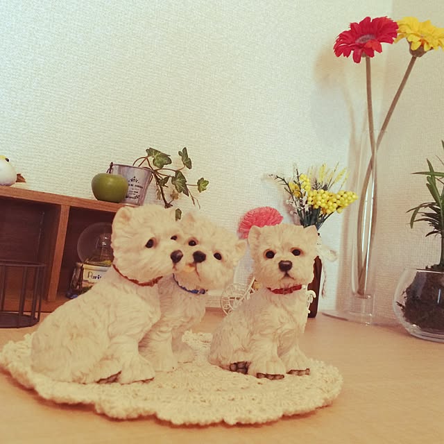 chocoさんの実例写真