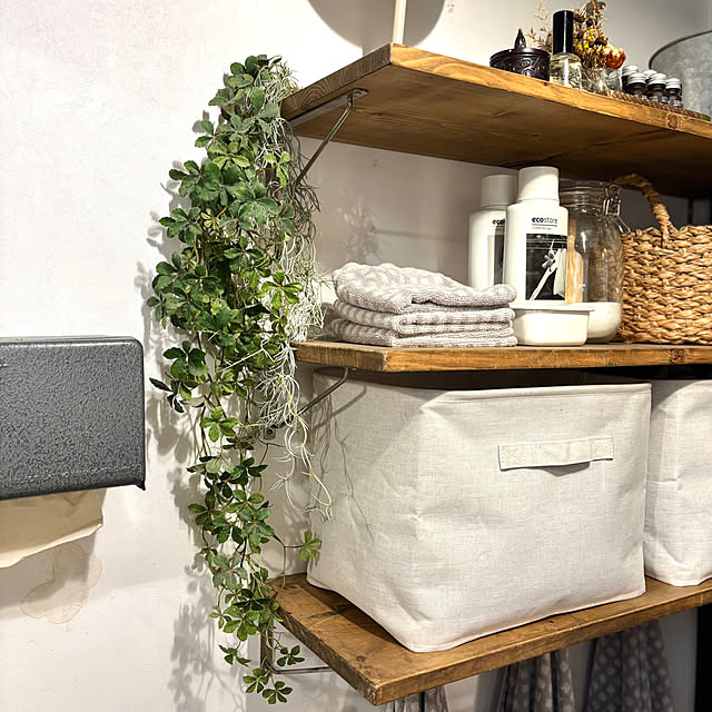 greycatsさんの部屋