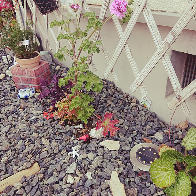 momo.suzu9さんの実例写真