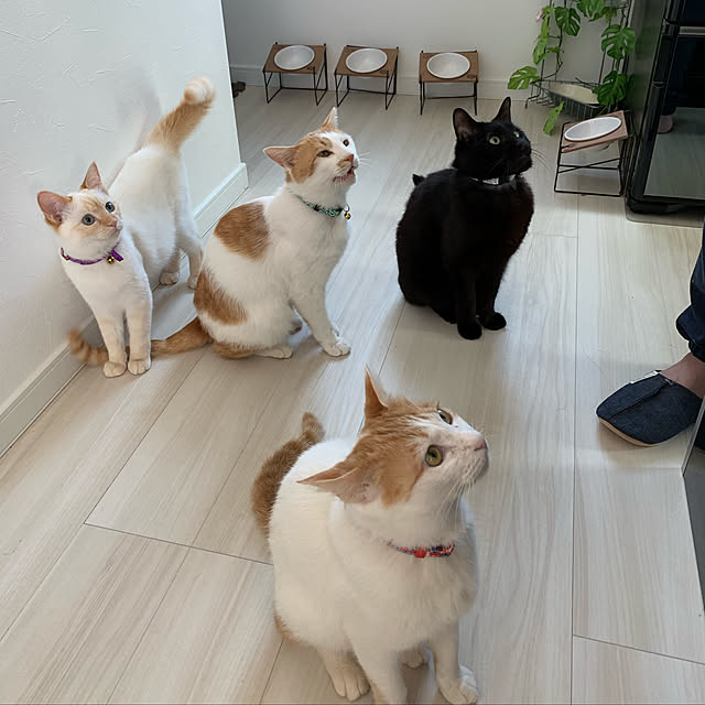 haryu1202さんの実例写真