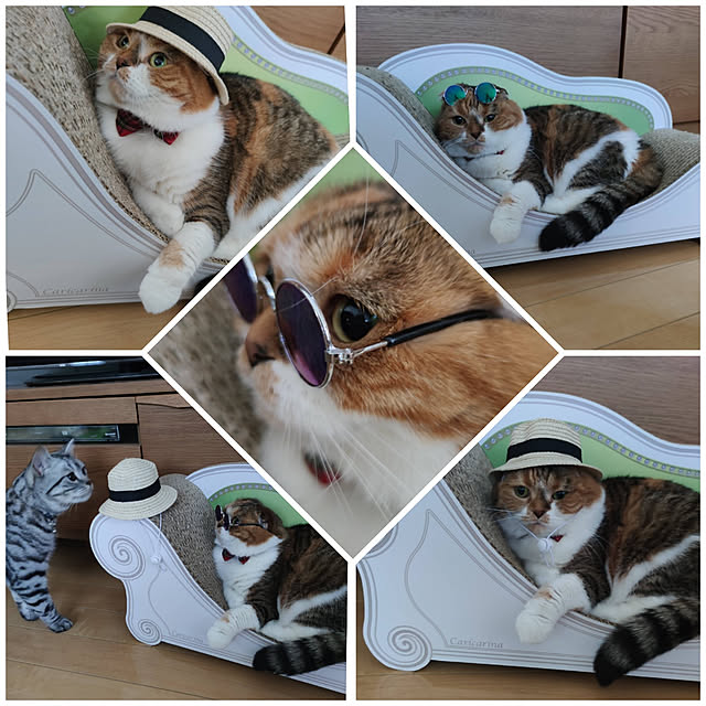 hiro3さんの実例写真