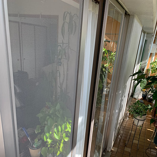 Aqettyさんの部屋