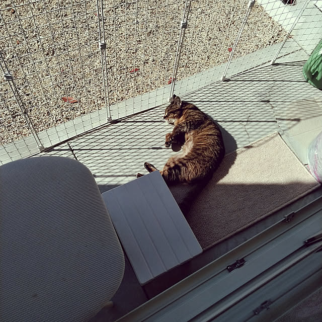 lilyさんの実例写真