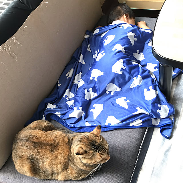 hansho.sさんの実例写真