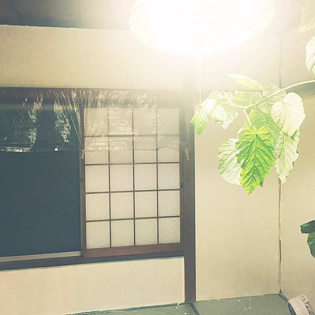 maosa1019さんの実例写真