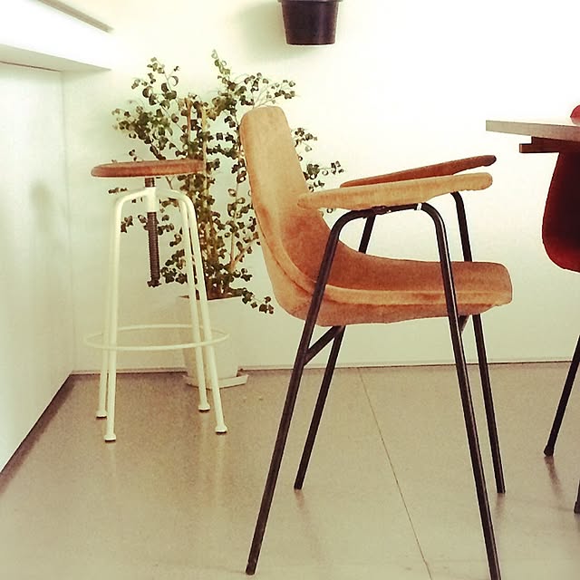 Shinjiさんの実例写真