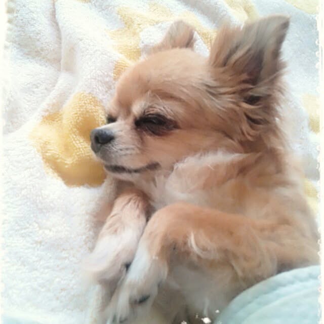 achiさんの実例写真