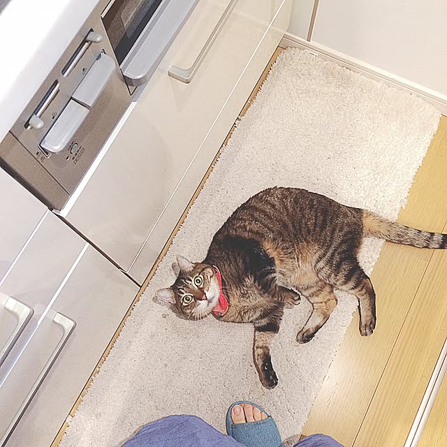 lovecatさんの実例写真