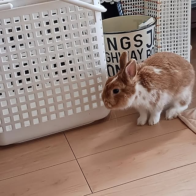 aiさんの部屋