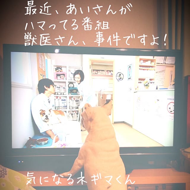 38coreさんの実例写真