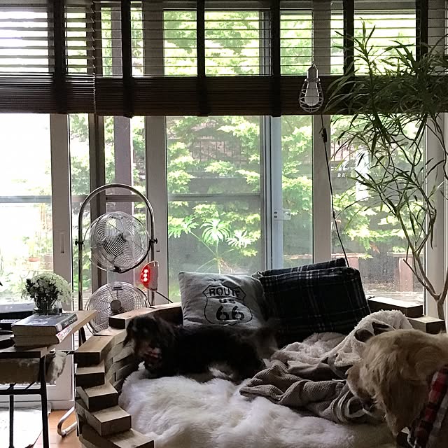 tomowithdogさんの実例写真