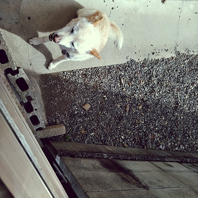 lilyさんの実例写真