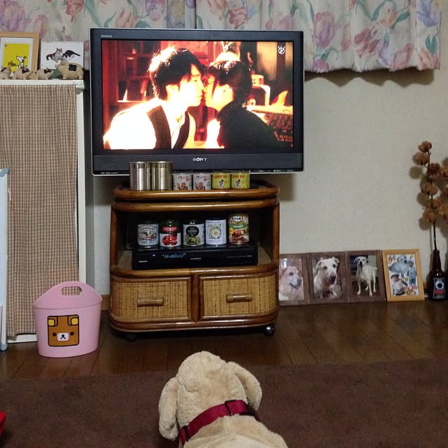 emiさんの実例写真