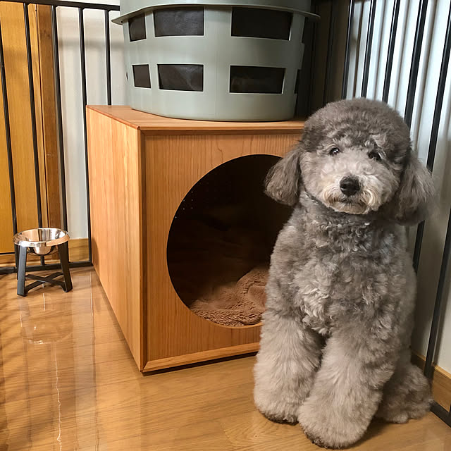 sunnydayさんの実例写真