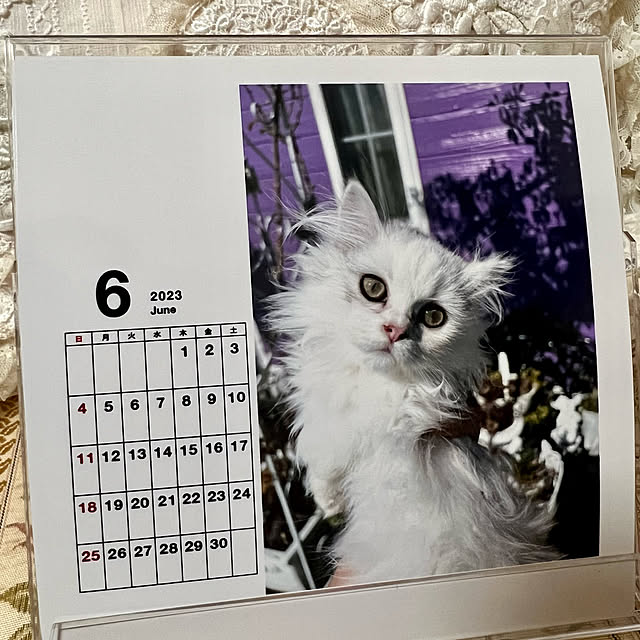 AYUKOさんの実例写真