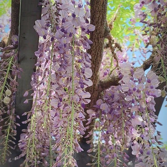 akさんの実例写真