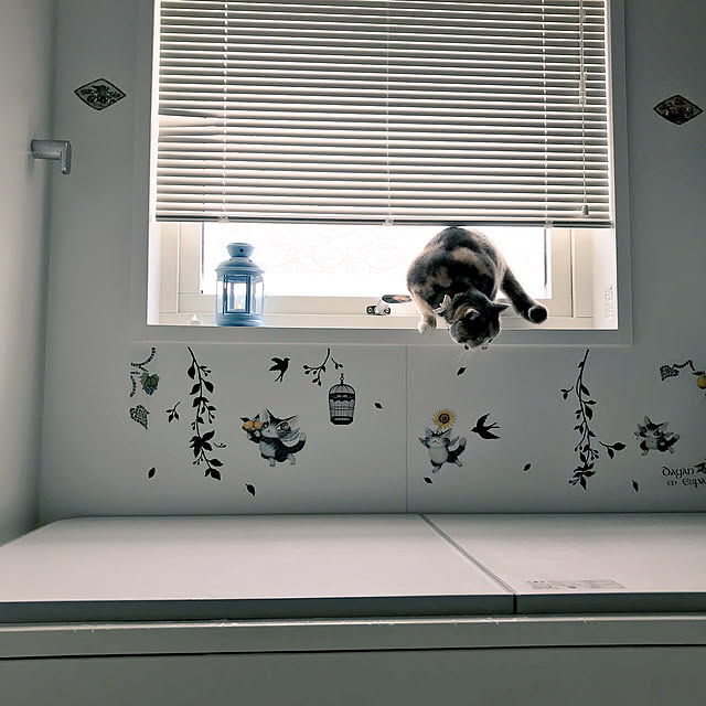 nekozo328さんの実例写真