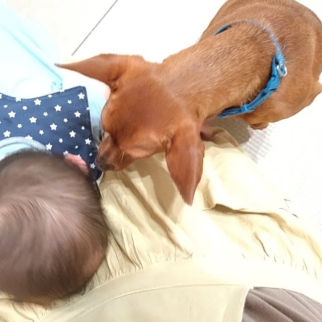 ri-eさんの部屋