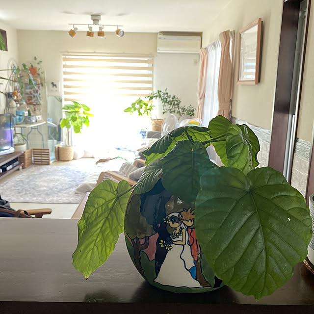 alchoさんの実例写真