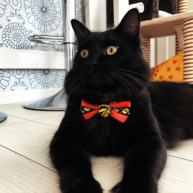 ochappuさんの実例写真