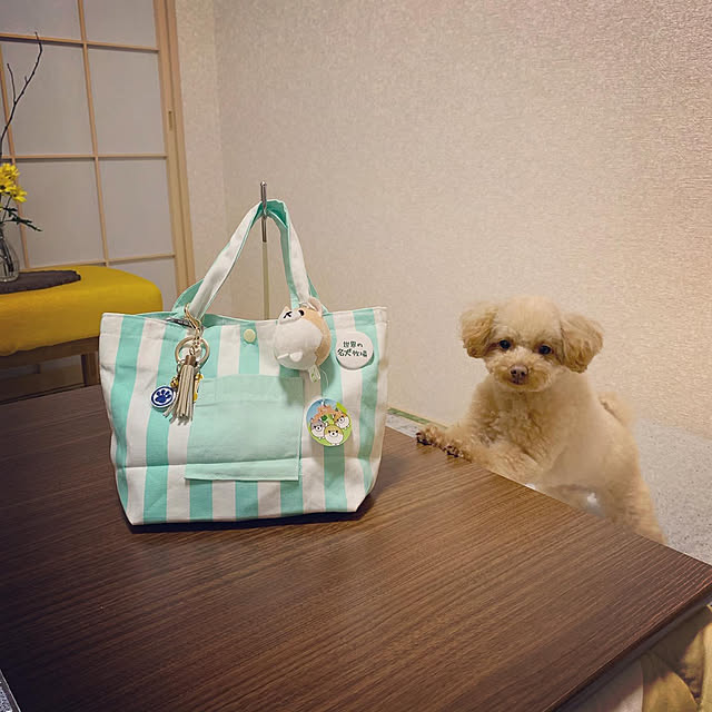 Samさんの実例写真