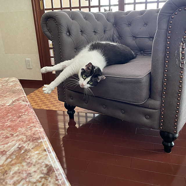 nya_sanさんの実例写真