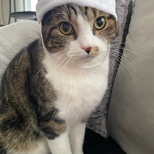 maimaiさんの部屋