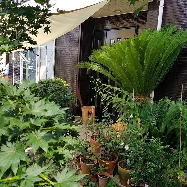 midoriさんの部屋