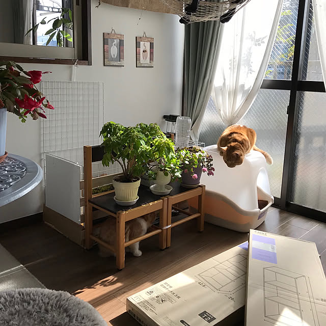 m.kantoh18_mikkoさんの実例写真