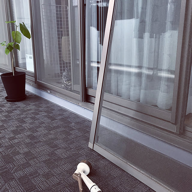 hiyupan88さんの実例写真