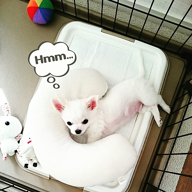 cherryさんの実例写真
