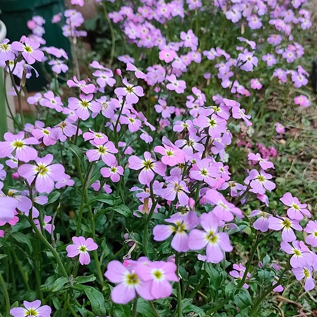 yukkoさんの実例写真