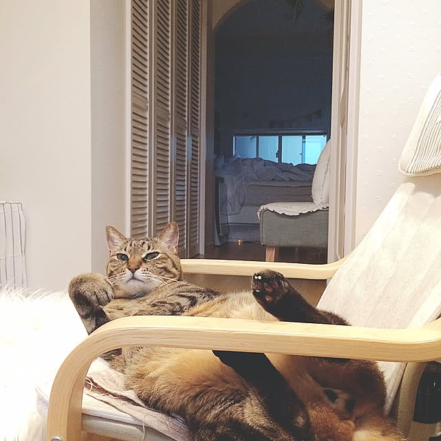 lovecatさんの実例写真