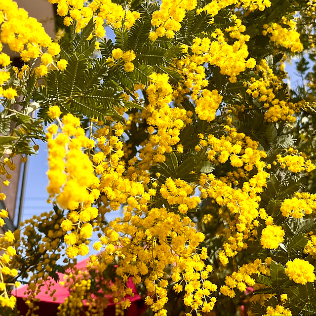 yottanさんの部屋