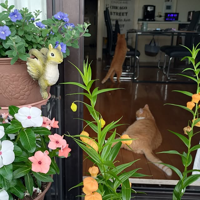 NOAHさんの実例写真