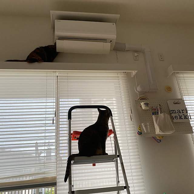 mikomaruさんの実例写真