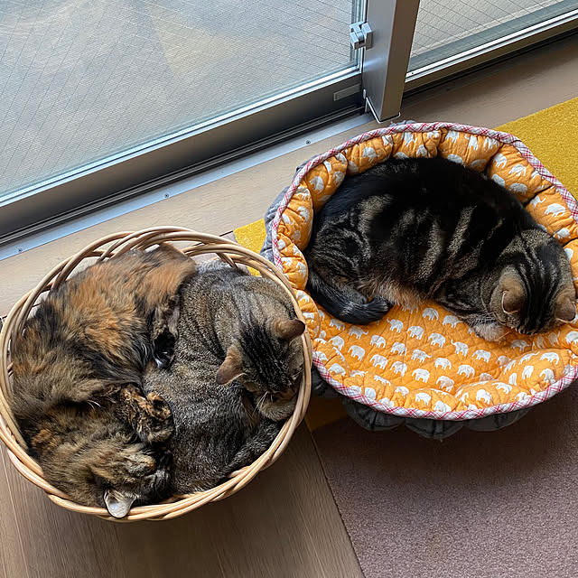 mikomaruさんの実例写真