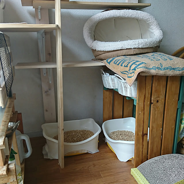 SHIHOさんの実例写真