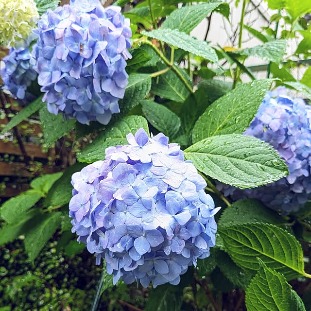 mofukoさんの実例写真
